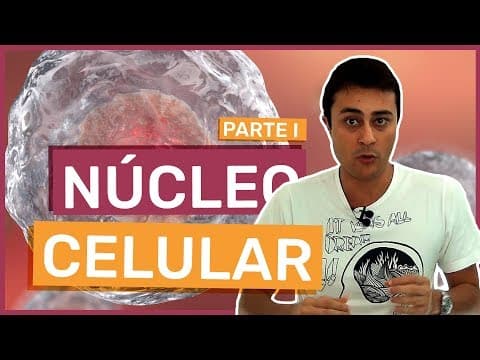 Thumbnail da aula: Núcleo Celular - Parte 1 - Prof. Paulo Jubilut