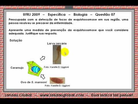 Thumbnail da aula: UFRJ 2009 P2 BIO Q07