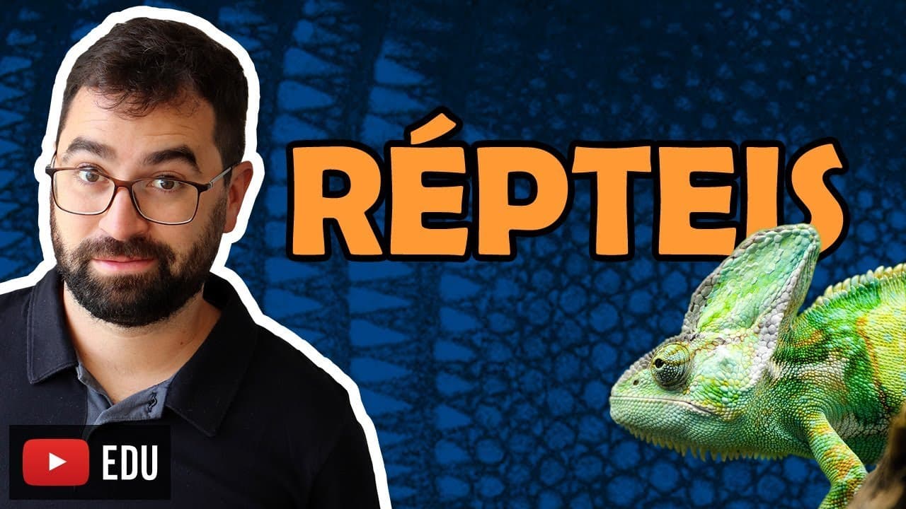 Thumbnail: Répteis - Aula 30 - Módulo VI: Zoologia | Prof. Gui