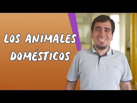 Thumbnail da aula: Los Animales Domésticos - Brasil Escola