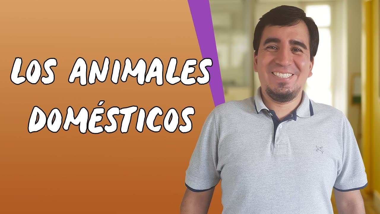 Thumbnail: Los Animales Domésticos - Brasil Escola