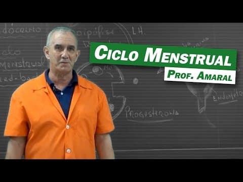 Thumbnail da aula: Biologia - Ciclo Menstrual
