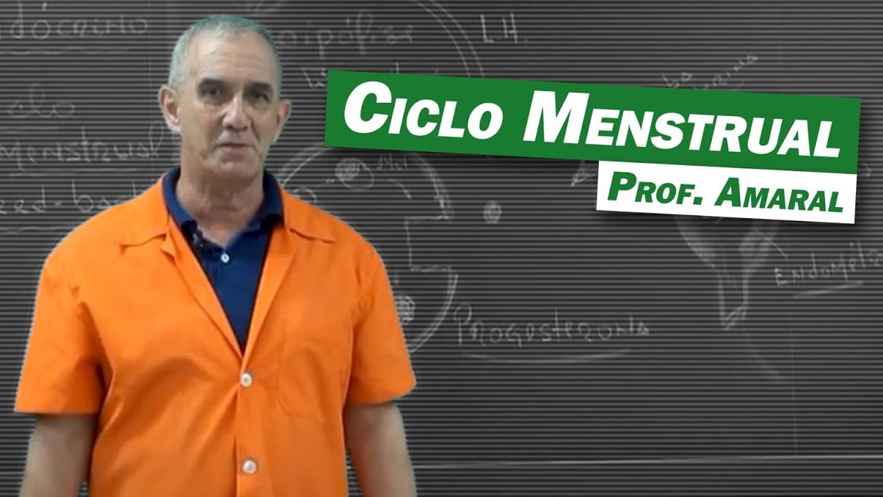 Thumbnail: Biologia - Ciclo Menstrual