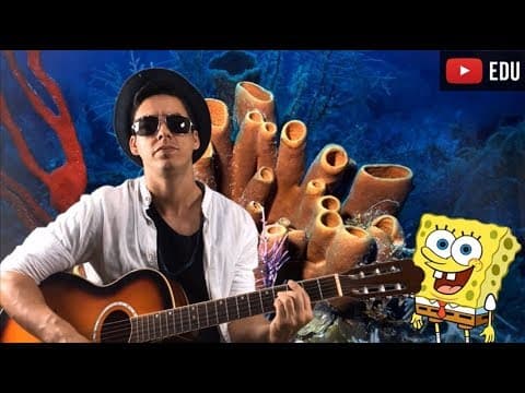 Thumbnail da aula: Zoologia geral (Me Gusta Bio - Paródia Thiago Brava)