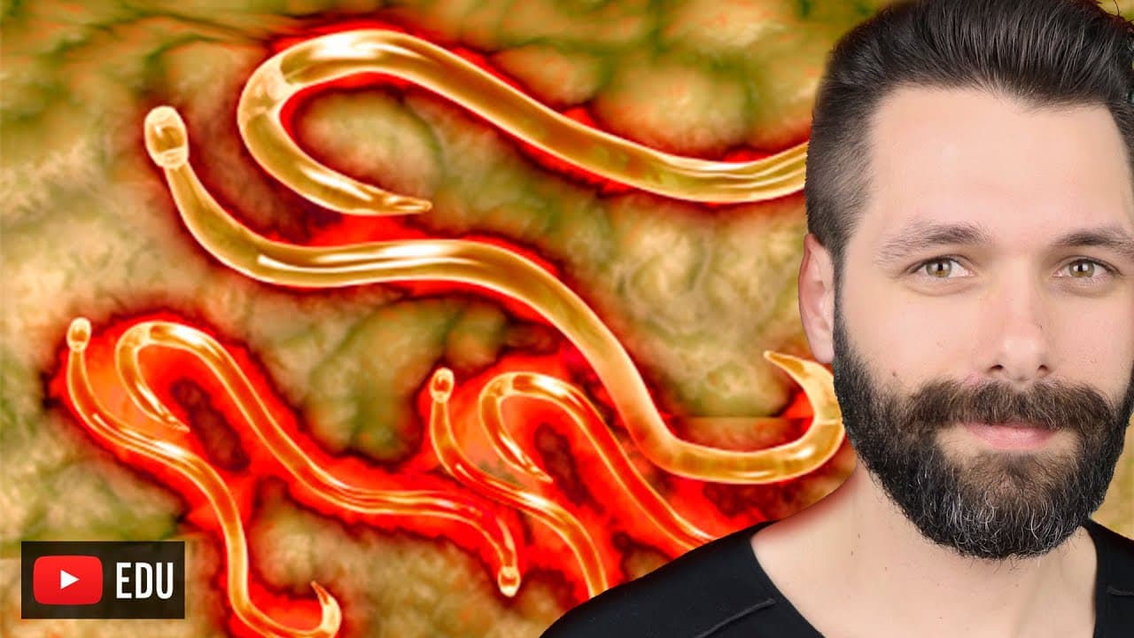 Thumbnail: PARASITA MONOXENO E HETEROXENO - Ciclo de vida | BIOLOGIA COM SAMUEL CUNHA