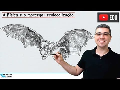 Thumbnail da aula: A Física e o morcego: ecolocalização/biossonar | Física todo dia | Física do cotidiano