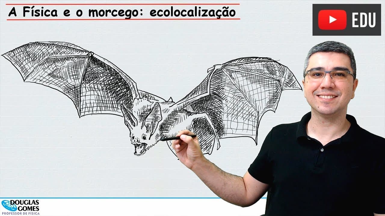 Thumbnail: A Física e o morcego: ecolocalização/biossonar | Física todo dia | Física do cotidiano