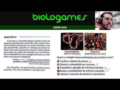 Thumbnail da aula: ENEM 2024 - PROVA VERDE - Questão 91