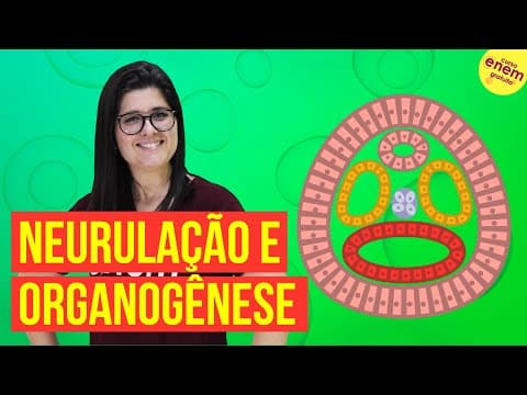 Thumbnail da aula: EMBRIOLOGIA: NEURULAÇÃO E ORGANOGÊNESE | Resumo de Biologia para o Enem