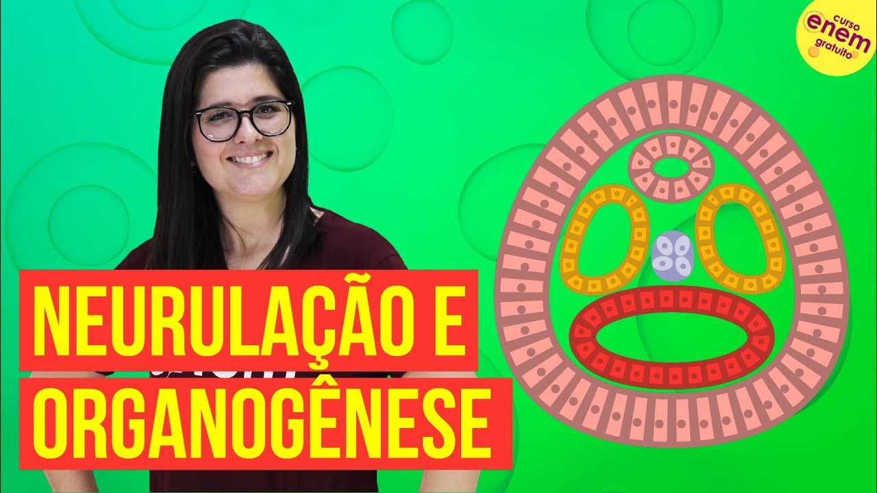 Thumbnail: EMBRIOLOGIA: NEURULAÇÃO E ORGANOGÊNESE | Resumo de Biologia para o Enem