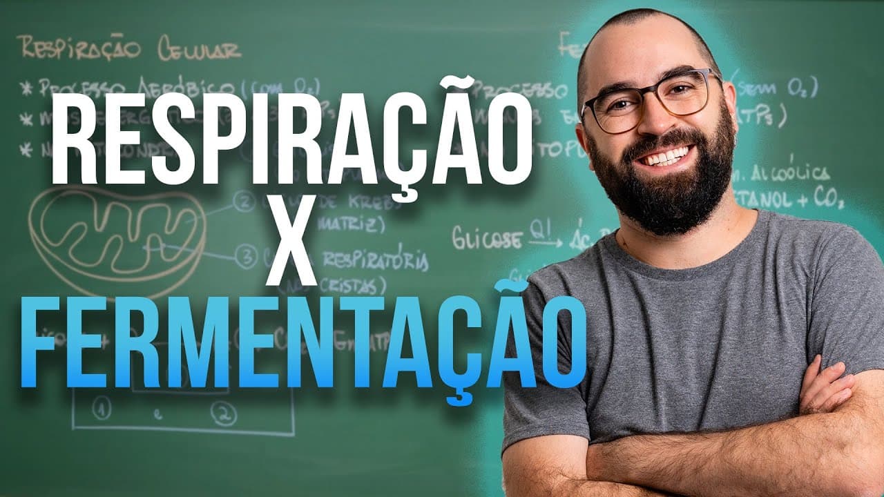 Thumbnail: Comparação: Respiração celular x Fermentação - Apêndide 1 - Módulo 1: Biologia Celular