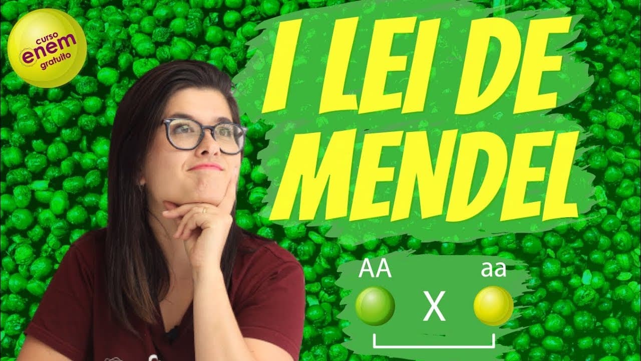 Thumbnail: PRIMEIRA LEI DE MENDEL | Resumo de Biologia para o Enem