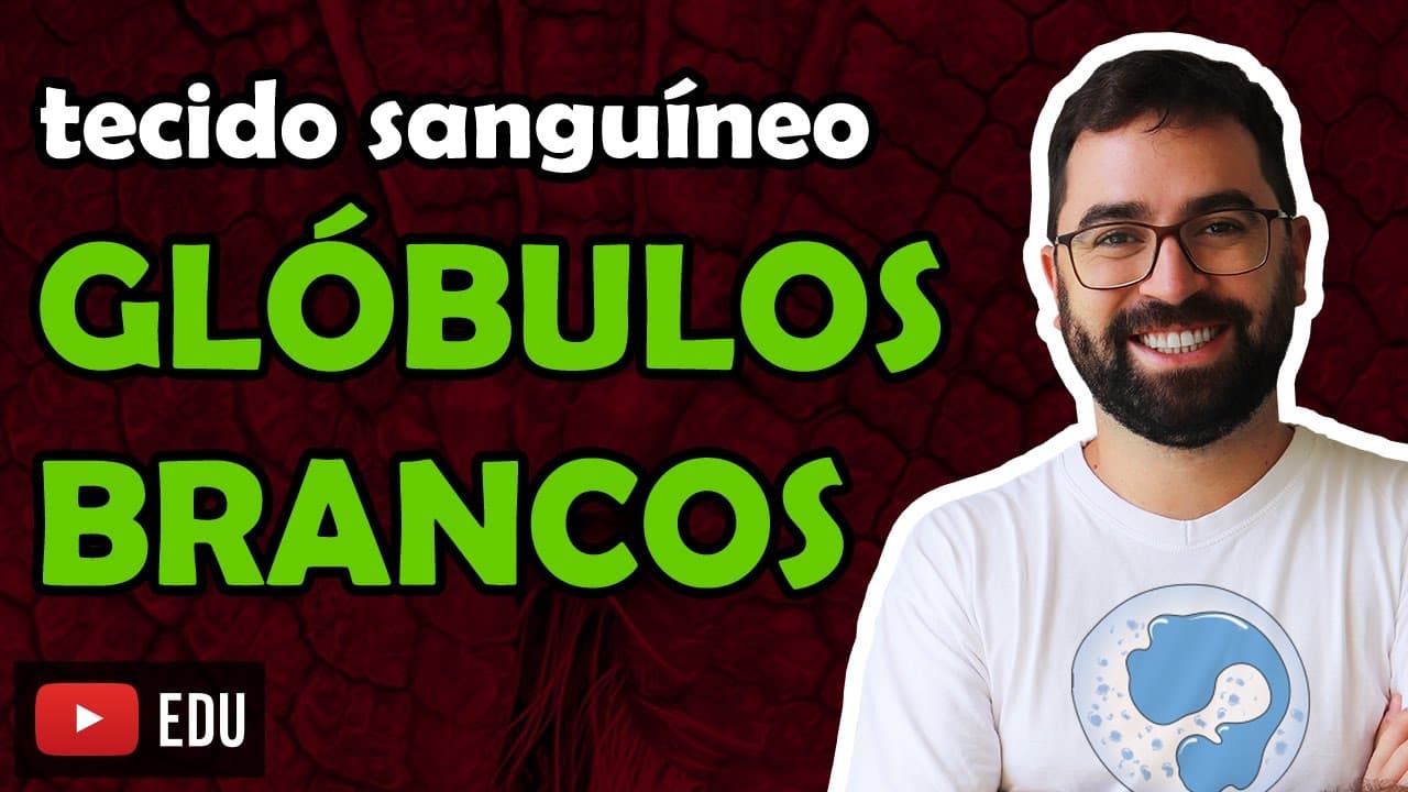 Thumbnail: Leucócitos (Glóbulos Brancos) - Aula 12 - Módulo VII: Histologia e Fisiologia Humana | Prof. Gui