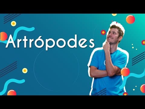 Thumbnail da aula: Artrópodes - Brasil Escola