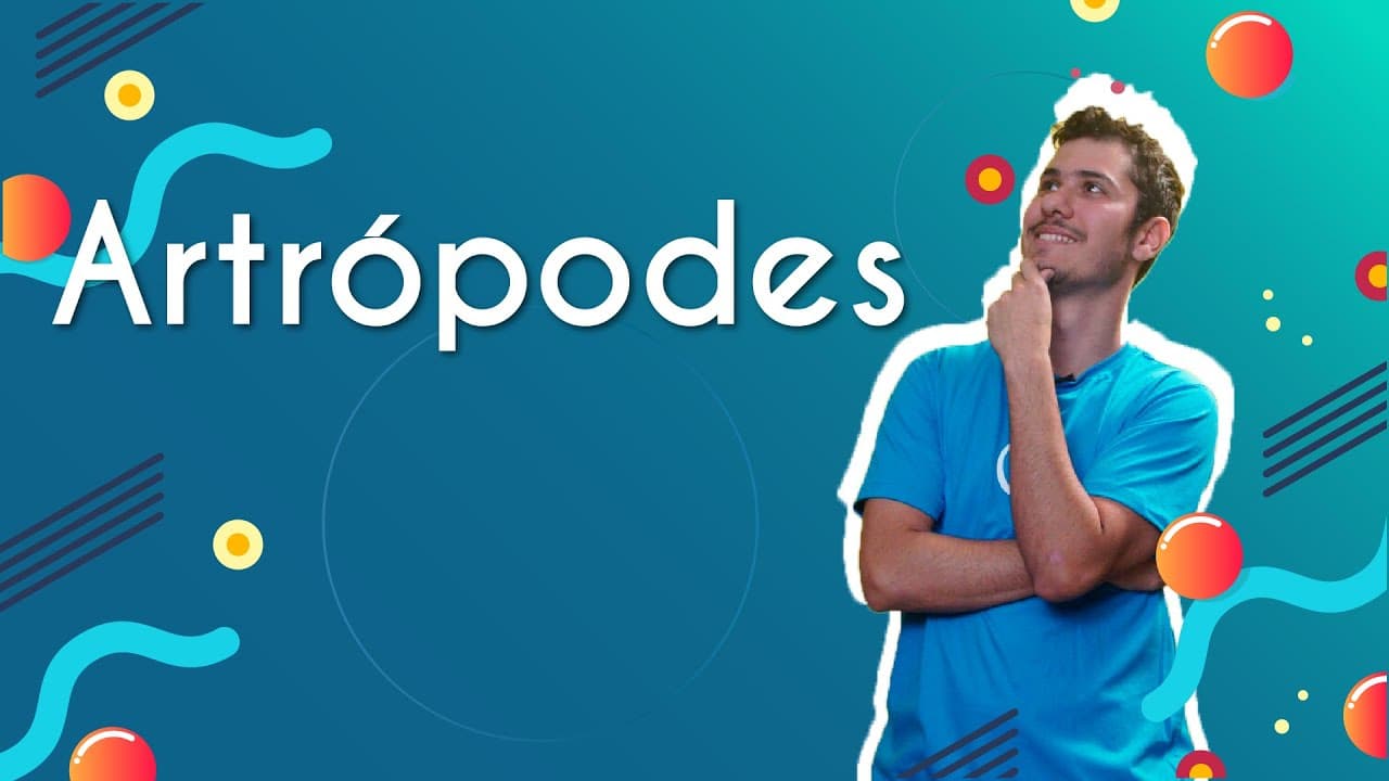 Thumbnail: Artrópodes - Brasil Escola