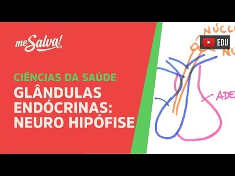 Thumbnail da aula: Me Salva! GEP09 - Glândulas Endócrinas: Neuro Hipófise - Histologia Humana