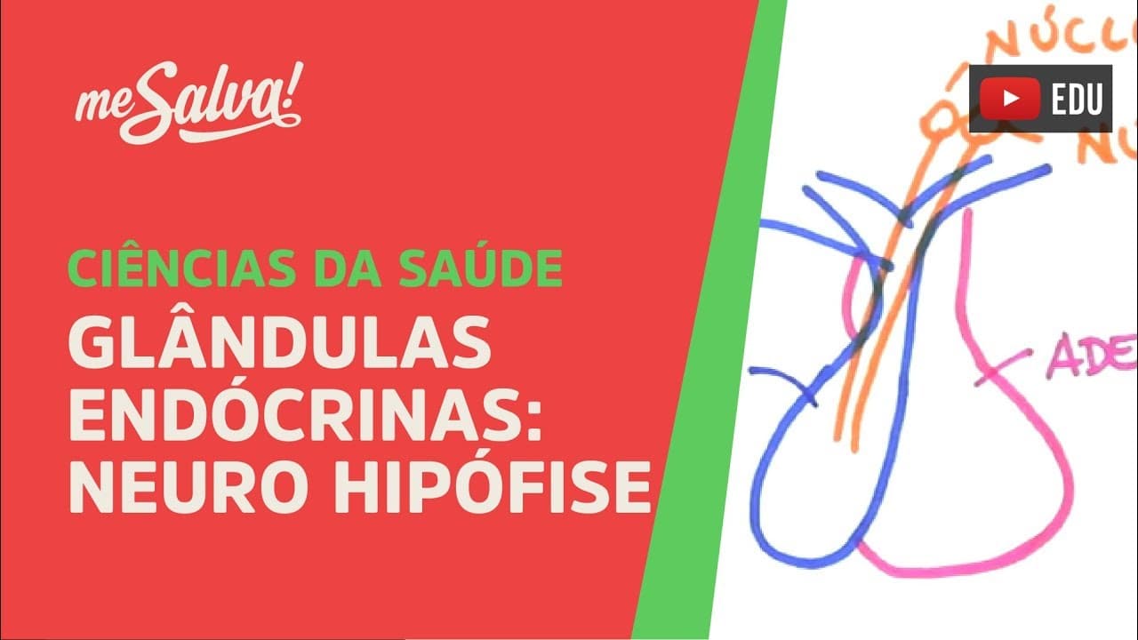 Thumbnail: Me Salva! GEP09 - Glândulas Endócrinas: Neuro Hipófise - Histologia Humana