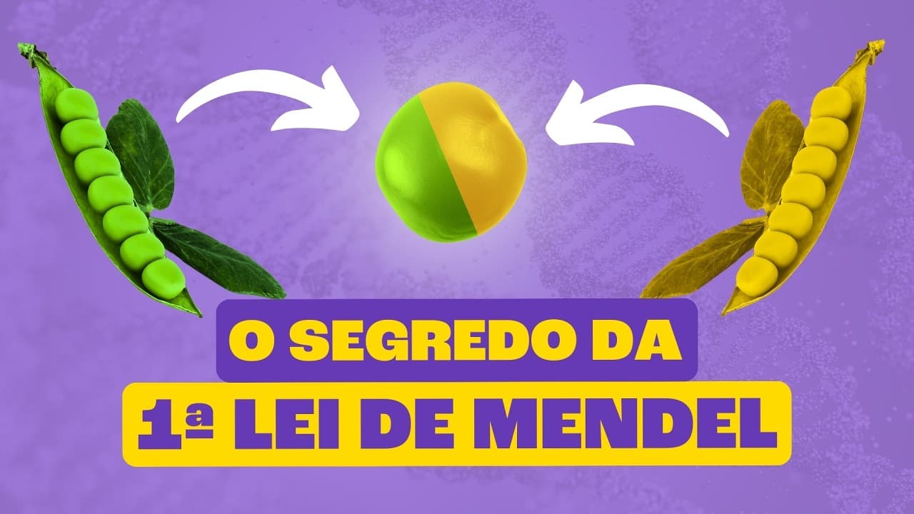 Thumbnail: PRIMEIRA LEI DE MENDEL: O Segredo da Revolução Genética