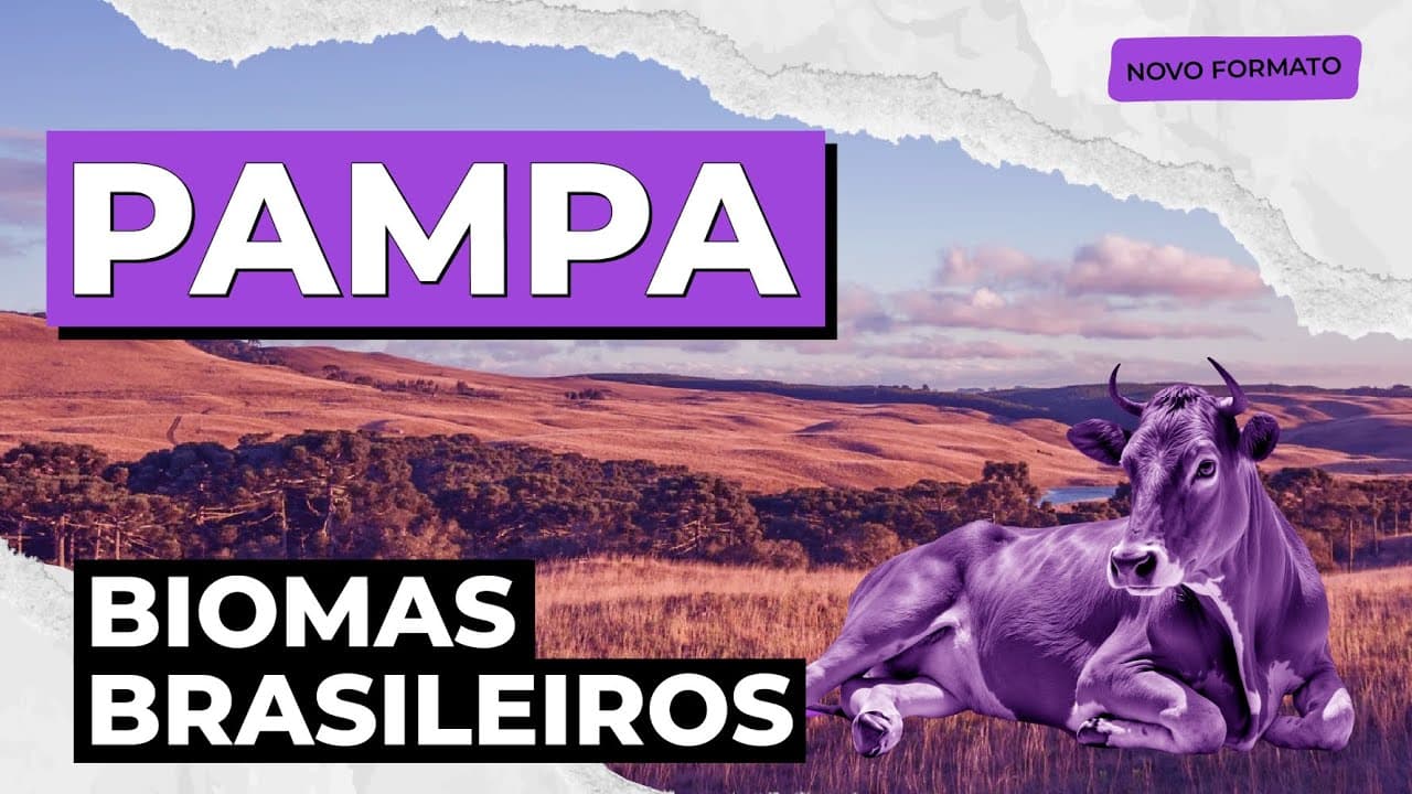 Thumbnail: BIOMAS BRASILEIROS: Pampa | Biologia para o Enem e o Encceja | Cláudia de Souza Aguiar