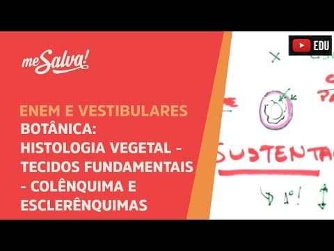 Thumbnail da aula: Me Salva! BOT18 - Botânica - Histologia vegetal: tecidos fundamentais - colênquima e esclerênquimas