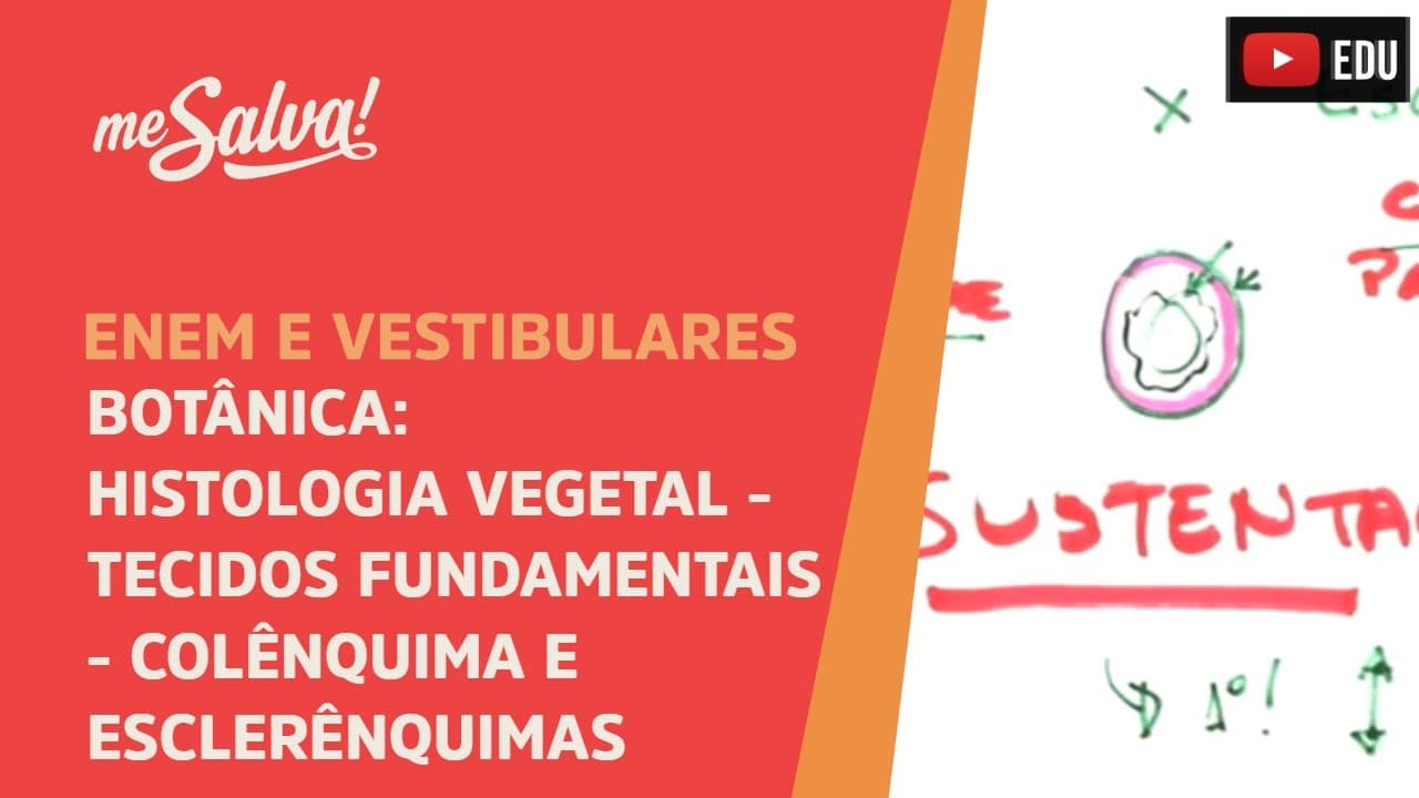 Thumbnail: Me Salva! BOT18 - Botânica - Histologia vegetal: tecidos fundamentais - colênquima e esclerênquimas