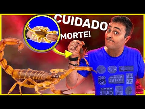 Thumbnail da aula: Por que os ESCORPIÕES estão MATANDO tanto no BRASIL?