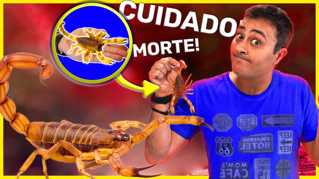 Thumbnail: Por que os ESCORPIÕES estão MATANDO tanto no BRASIL?