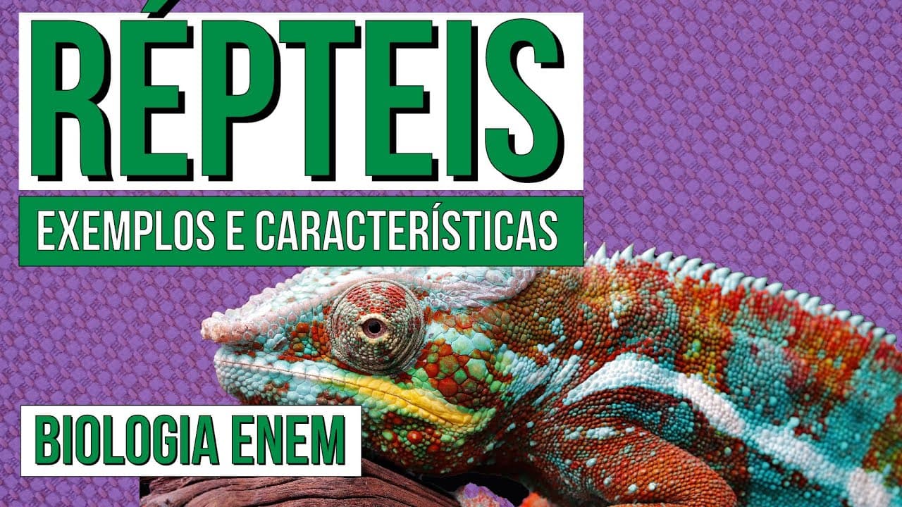 Thumbnail: RÉPTEIS: exemplos e características | Biologia para o Enem | Cláudia de Souza Aguiar