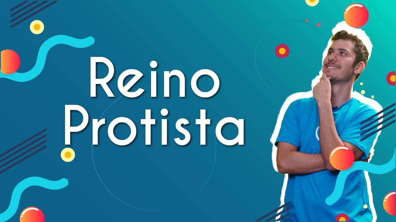 Thumbnail: Reino Protista  - Brasil Escola
