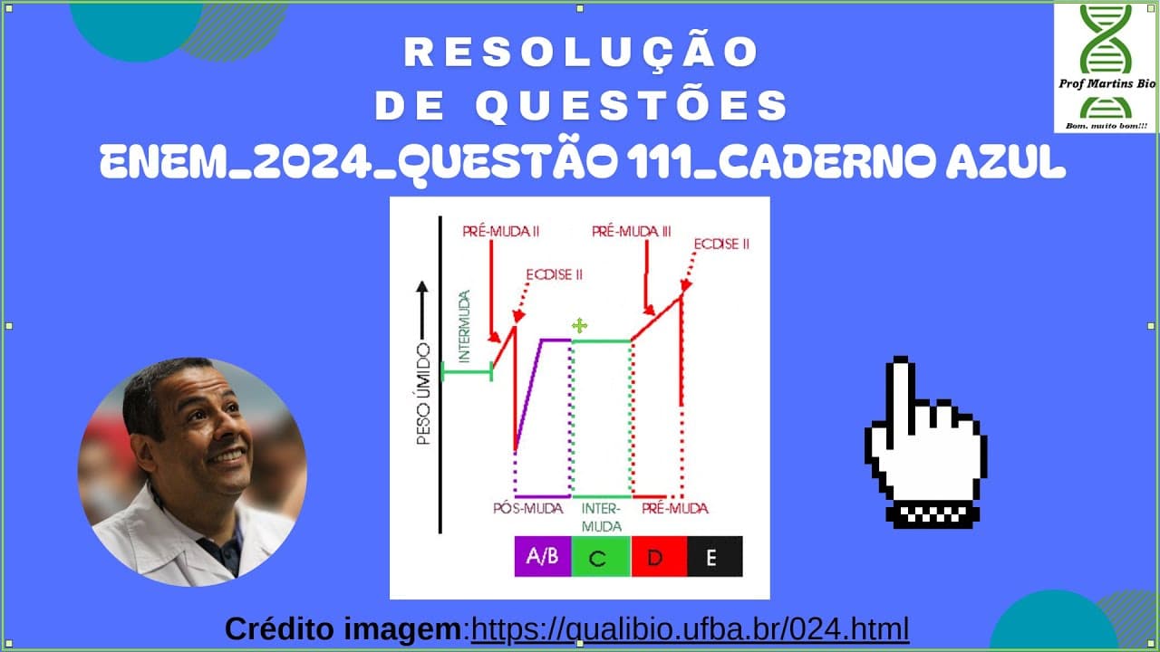 Thumbnail: ENEM 2024_QUESTÃO 111_CADERNO AZUL_EXOESQUELETO_ECDISE_FISIOLOGIA DOS ARTRÓPODES