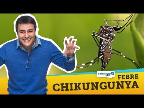 Thumbnail da aula: Febre Chikungunya: A Nova Epidemia do Brasil - Prof. Paulo Jubilut