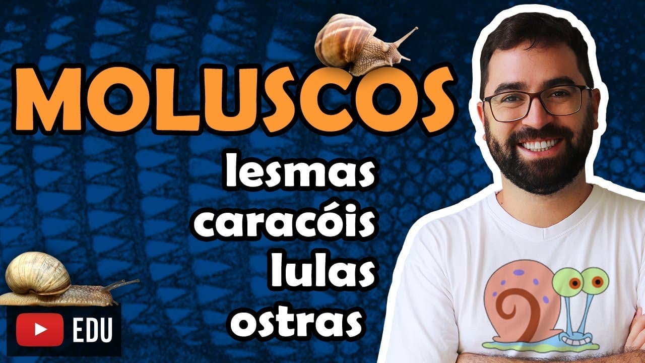 Thumbnail: Moluscos - Aula 19 - Módulo VI: Zoologia | Prof. Guilherme