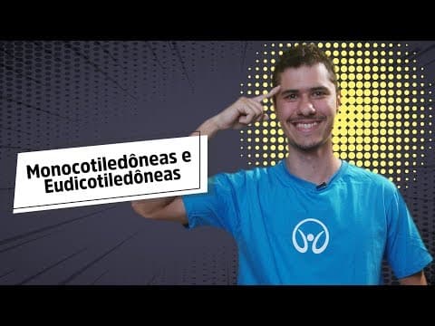Thumbnail da aula: Monocotiledôneas e Eudicotiledôneas - Brasil Escola