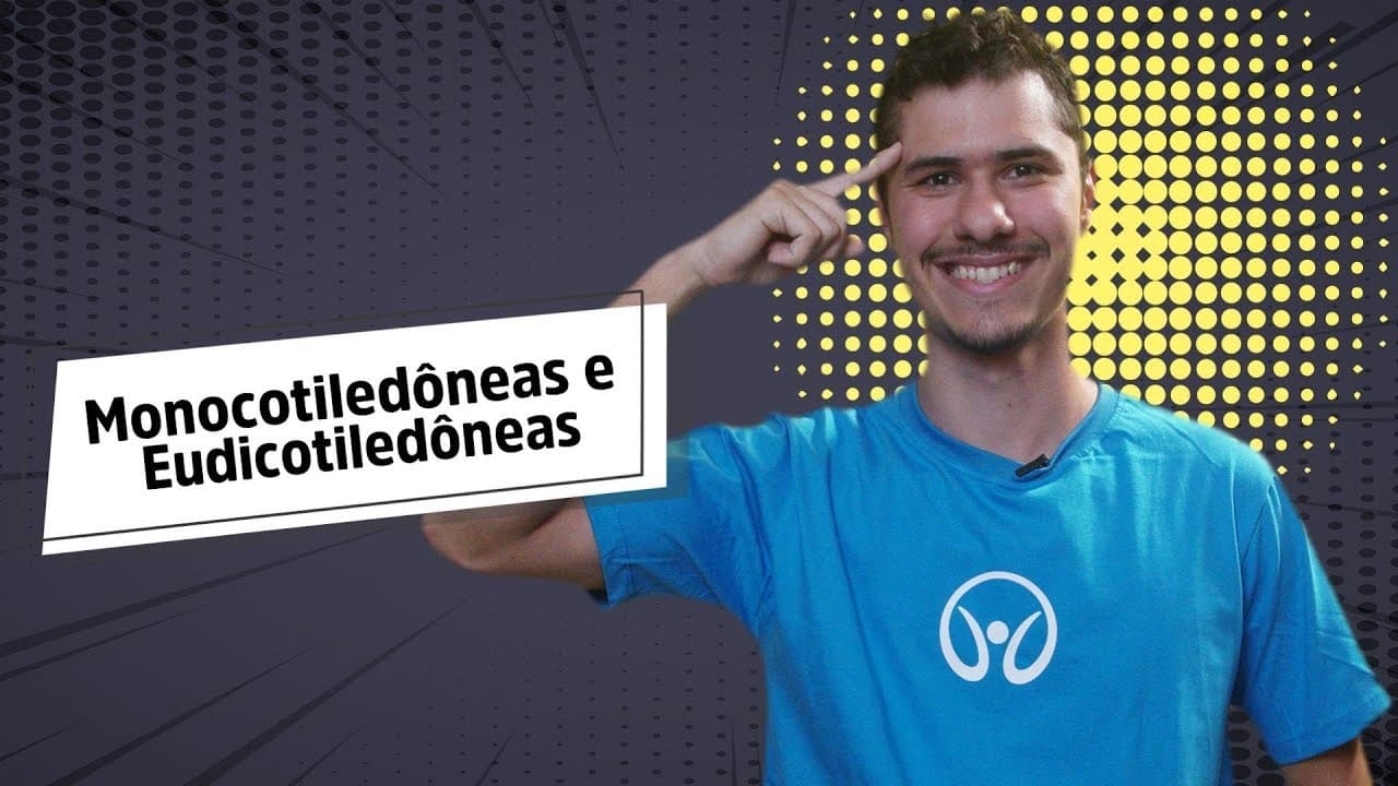 Thumbnail: Monocotiledôneas e Eudicotiledôneas - Brasil Escola