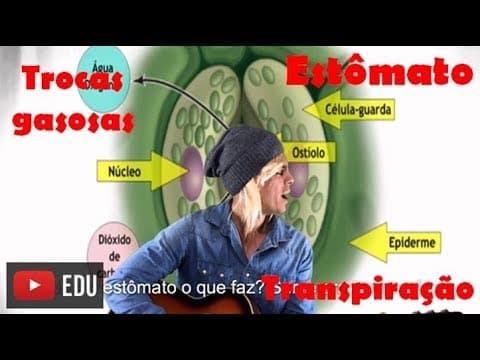 Thumbnail da aula: Estômato: Trocas Gasosas e Transpiração Vegetal - Paródia Professor Gustavo