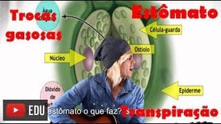 Estômato: Trocas Gasosas e Transpiração Vegetal - Paródia Professor Gustavo