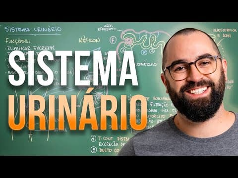 Thumbnail da aula: Sistema Excretor (URINÁRIO) - Aula 30 - Módulo 7: Fisiologia Humana