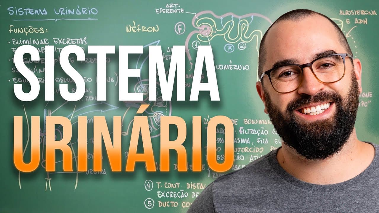 Thumbnail: Sistema Excretor (URINÁRIO) - Aula 30 - Módulo 7: Fisiologia Humana