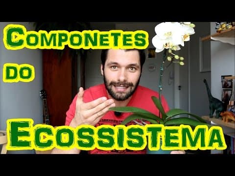 Thumbnail da aula: ECOSSISTEMA: Componentes Bióticos/Abióticos e Funcionamento Geral