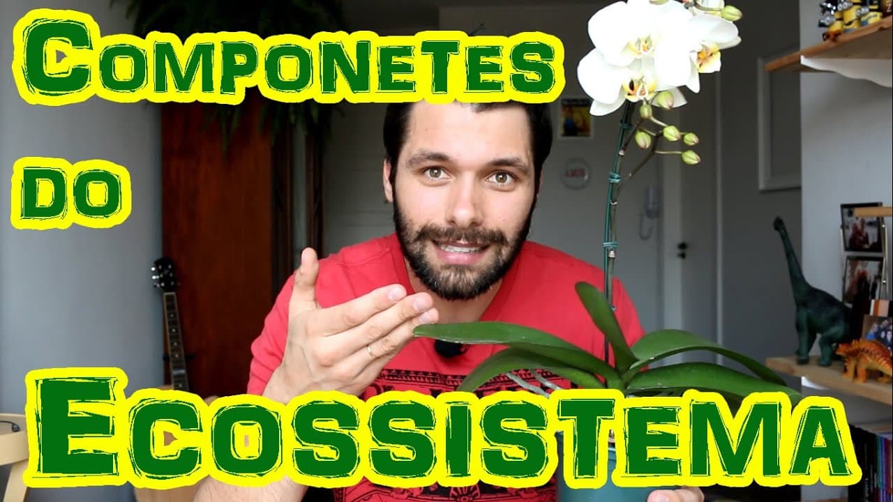 Thumbnail: Ecossistema: Componentes e Níveis Tróficos