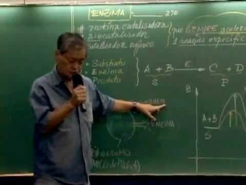 Thumbnail da aula: Enzimas | Biocatalisadores | catalisadores biológicos