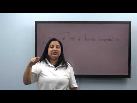 Thumbnail da aula: Geografia - Resolução da Prova Enem 2009 - Parte  7