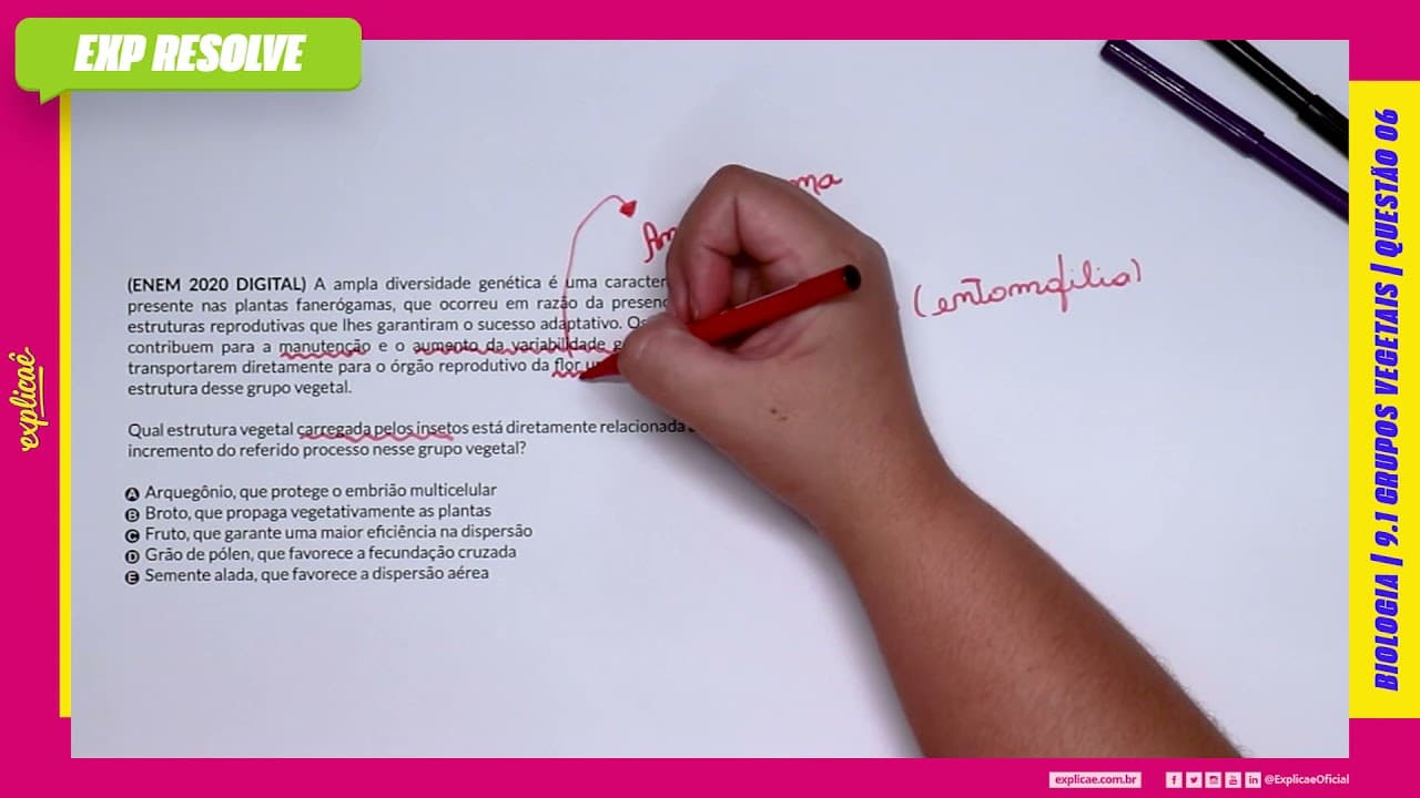 Thumbnail: A AMPLA DIVERSIDADE GENÉTICA É UMA CARACTERÍSTICA PRESENTE NAS PLANTAS (...) | GRUPOS VEGETAIS