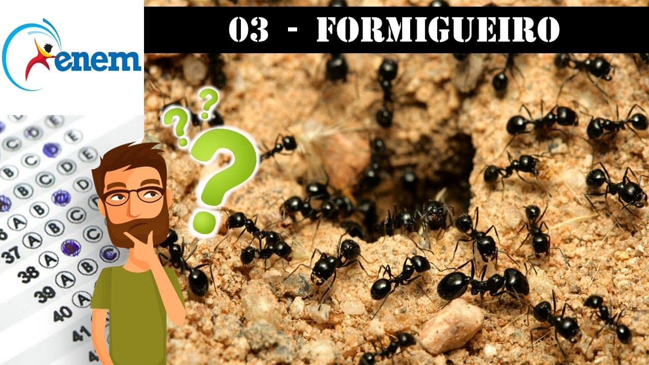 Thumbnail: Questão 03 - O FORMIGUEIRO - Biologia no ENEM (2009:1)