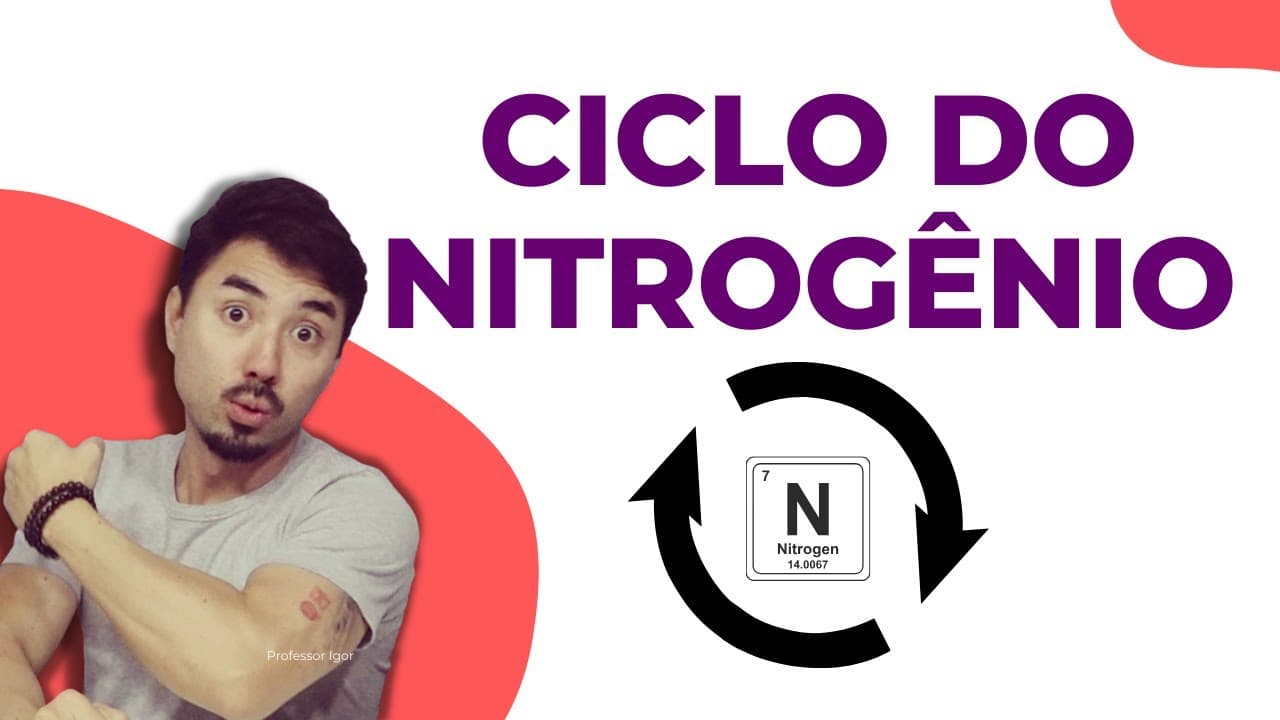 Thumbnail: Ciclo do Nitrogênio | Ciclo Biogeoquímicos