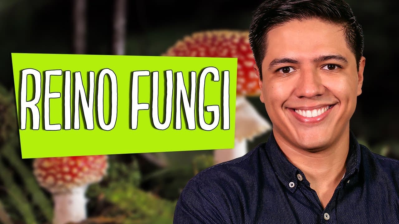 Thumbnail: REINO FUNGI - ESTRUTURA E DIVERSIDADE DOS FUNGOS - PARTE 01 - Prof. Kennedy Ramos