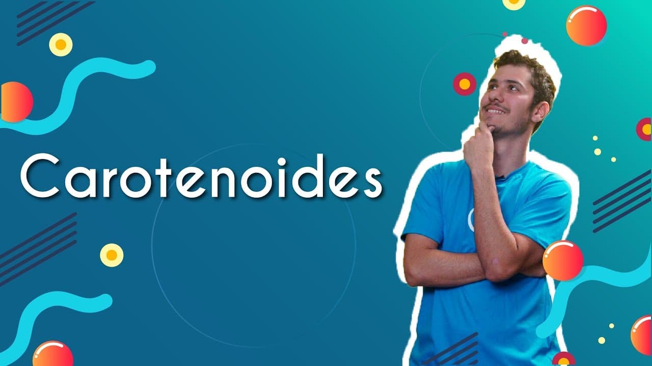 Thumbnail: Carotenoides - Brasil Escola