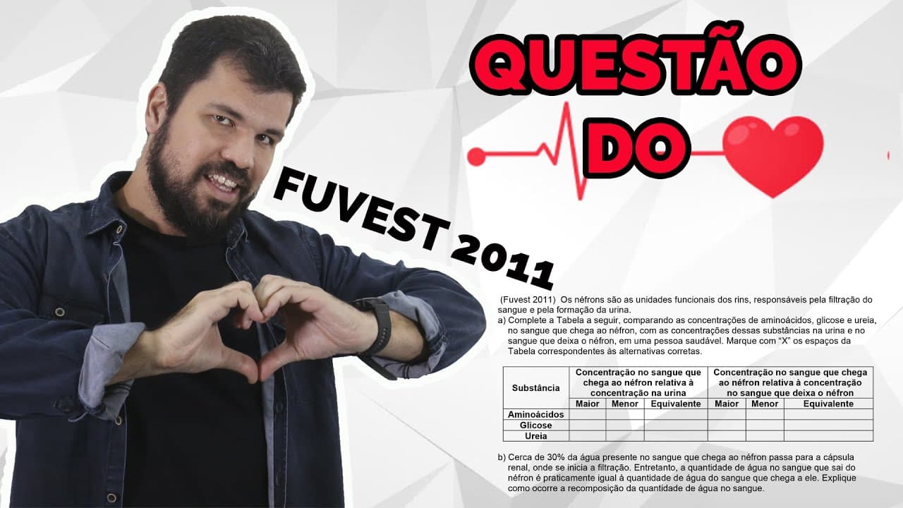 Thumbnail: Questão do Coração - Biologia - Fuvest 2011 - Sistema Excretor - Fisiologia do Néfron