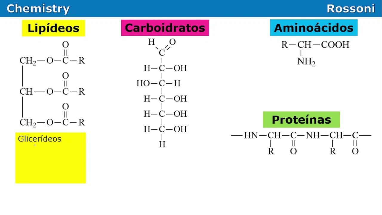 Thumbnail: UFRGS 2011 Q41 - Bioquímica