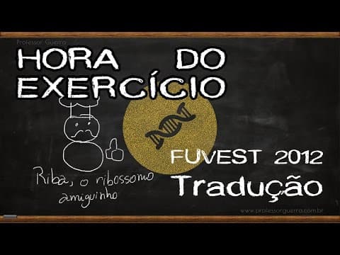 Thumbnail da aula: Tradução - FUVEST 2012